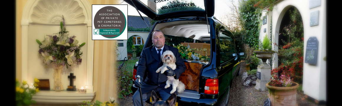 forget me not animal cremation